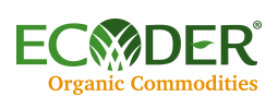 Ecoder Logo