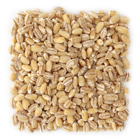 Organic Barley - Ecoder Mersin